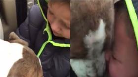 人狗相逢／ｆｂ