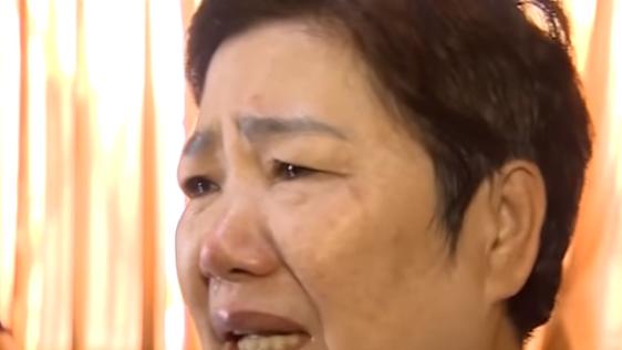 布丁三姊弟遭查稅　阿嬤哭：網開一面