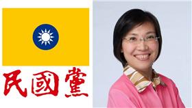 民國黨、徐欣瑩（圖／翻攝自民國黨、徐欣瑩臉書）