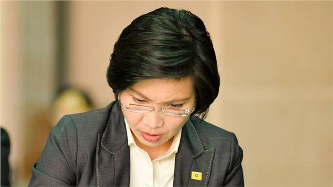 接受各界慰留　徐欣瑩續任民國黨主席