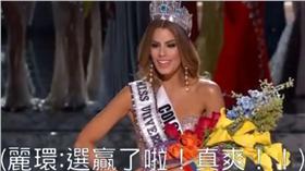 KUSO楊麗環－翻攝自音地大帝臉書