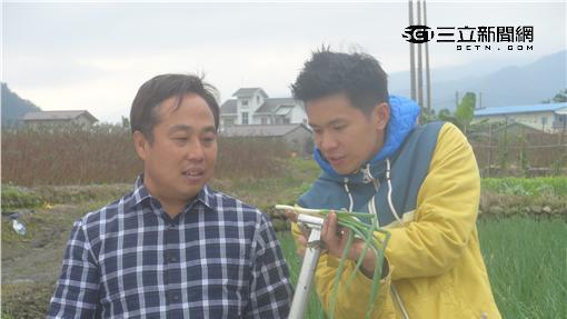 阿耀想求好姻緣　被虧月老也難為