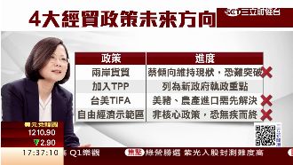 新政府上台　學者：兩岸經貿恐凍結