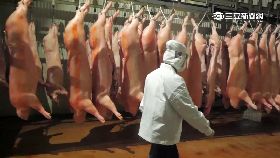 健康活菌豬1924e1922n091