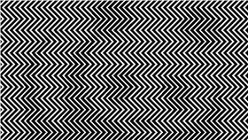 貓熊／翻攝自網路