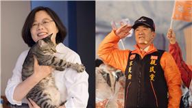 宋楚瑜、蔡英文／臉書