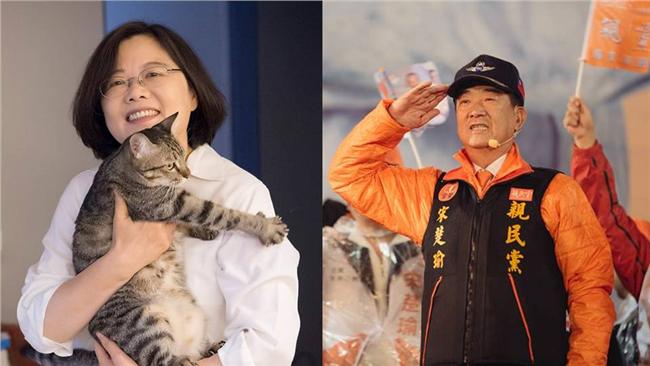 上任前請益！蔡英文明早拜會宋楚瑜
