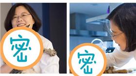 蔡英文臉書PO愛貓照（圖翻攝自蔡英文臉書）