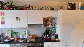 貓咪,躲貓貓,捉迷藏／翻攝自Boredpanda