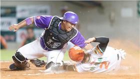 本壘攻防戰（圖／中華職棒聯盟）