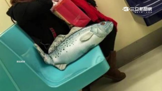 整條魚帶上捷運？日本擬真包掀風潮