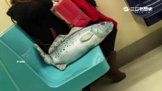 整條魚帶上捷運？日本擬真包掀風潮