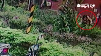 樹黨主席母「偷吃花」　鄰居怒告偷竊