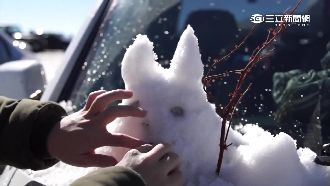 超強寒流今強襲！陽明山坪林有望下雪