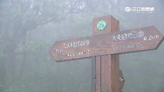 明可望降雪　陽明山賞雪團正夯！