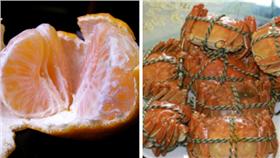 橘子▲圖／《沈陽晚報》