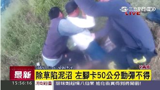 除草陷泥沼　左腳卡50公分動彈不得