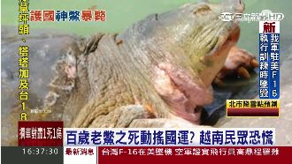 百歲老鱉之死動搖國運？越南民眾恐慌