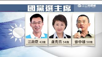 藍老人掰掰？張斯綱點名三戰將搶黨魁