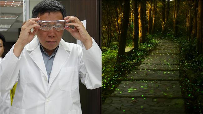 柯文哲在想什麼？螢火蟲復育計畫惹議