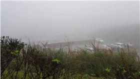 寒流,低溫
圖／記者張碧珊攝影