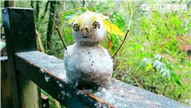 霜,拉拉山,神木
圖／巴陵派出所提供
