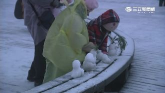 首波寒流估下周報到　太平山可能降雪
