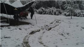 拉拉山下雪／高靜瑤提供