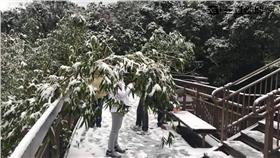 內湖碧山巖雪景（圖／王文妤提供）16:9