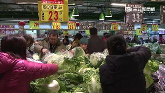 抗最強寒流搶吃火鍋　蔬菜飆漲2成