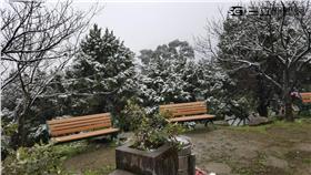 陽明山下雪／記者黃郁棋攝