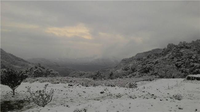 桃園復興下雪啦！奎輝里變身雪白世界