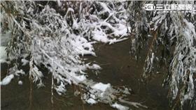 桃園復興奎輝里（Vina提供）16:9