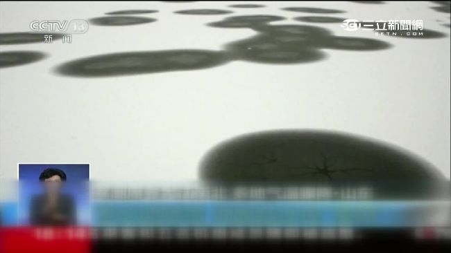 內蒙古零下58度　企鵝也冷到皮皮挫