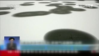 內蒙古零下58度　企鵝也冷到皮皮挫