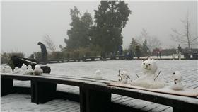 太平山（太平山．森動一世紀系列活動 〈太平山國家森林遊樂區〉）