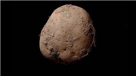 ▲馬鈴薯照。（圖／翻攝自《每日郵報》）
http://www.dailymail.co.uk/news/article-3414188