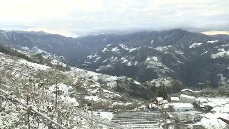 搶看清境雪景　追雪車陣長達3公里