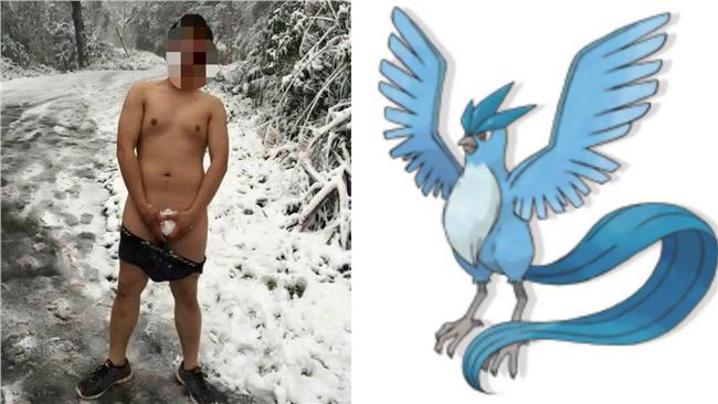 抓雪包住第三點　網友：出來吧急凍鳥