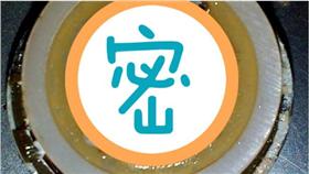 噁蟲水管亂竄－圖／翻攝自《鏡報》