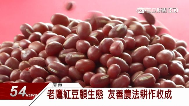 全聯契作紅豆田　推友善農法護生態
