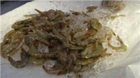 食藥署抽驗蝦仁、蝦子／食藥署提供