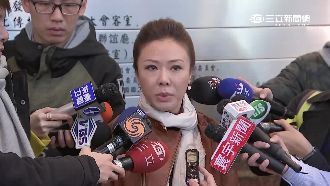 「民進黨花招很多」新科藍委趕忙集訓