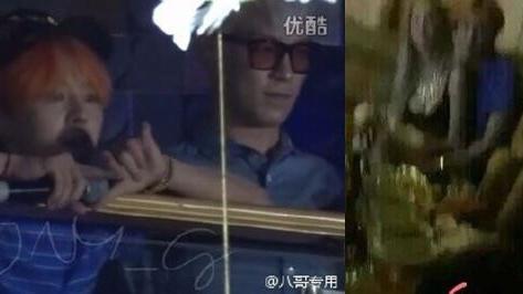 GD被爆擁巨乳辣妹狂歡　嗨到剩內褲