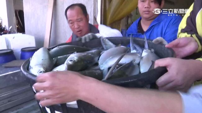 阻赴陸爭取虱目魚契作？漁業署：誤會