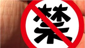 外星鸚鵡－圖／「The Dodo」網站