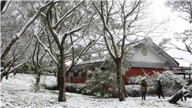 陽明山雪景 Yangmingshan Snow（圖／攝影者Chi-Hung Lin, Flickr CC License）https://flic.kr/p/DmpZw2