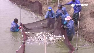 取消夜間觀測惹禍？氣象局有話說