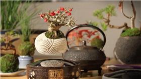 懸浮盆栽－圖／翻攝自「Kickstarter 」網站