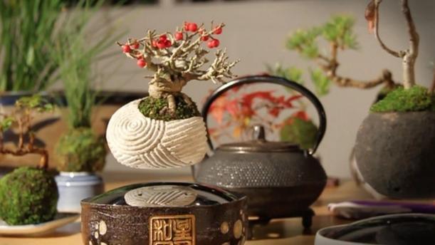 傳統與現代之美　日式盆栽神奇飄空中